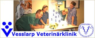 Vesslarp Veterinärklinik AB