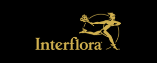 Interflora Löfgrens Blommor