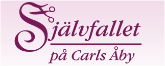 Självfallet på Carlsåby AB
