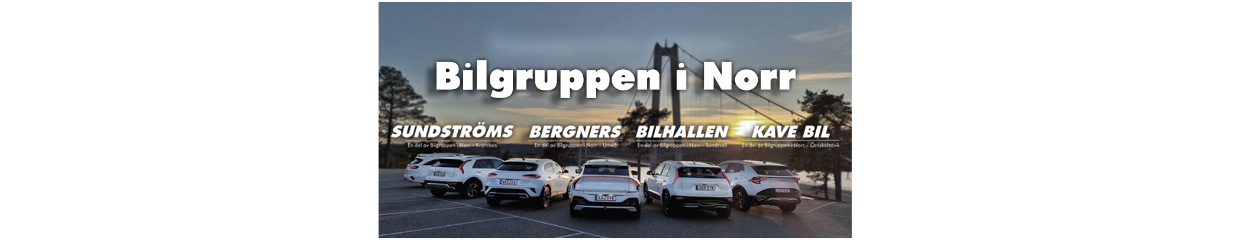 Bergners Bil AB - Bildelar och reservdelar, Allmän fordonsservice, Bilförsäljning, Bilförsäljning, Försäljning av begagnade bilar, Bildelar och reservdelar, Bilverkstäder