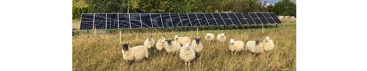 Solar Invest - Service av solvärme och vindkraft