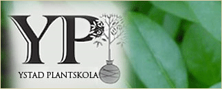 Ystad Plantskola AB