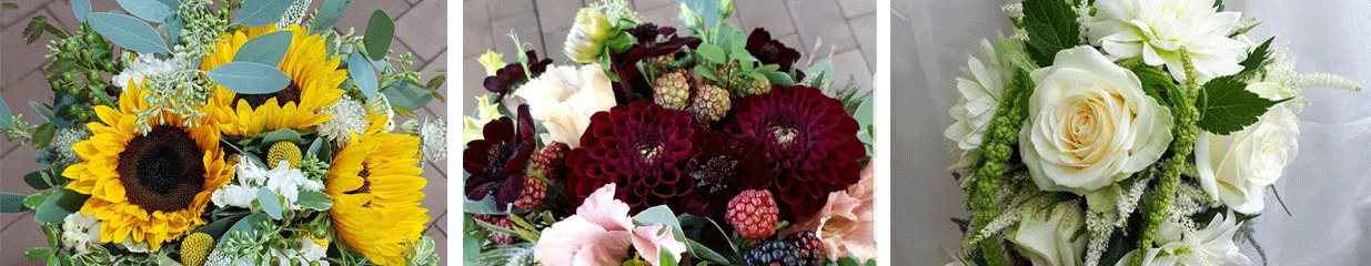 Bodéns Handelsträdgård och Gardencenter - Blomsterhandel, Handelsträdgårdar, Jordleverantörer, Blommor, Kompostering, utrustning, Trädgårdsbutiker, Trädgårdar, plantskolor, Växthus