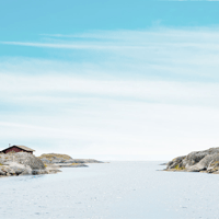 Nyheter