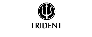 Trident Service Sweden AB