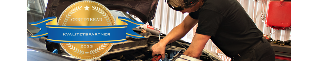 Hallbergs Bilservice AB - Allmän service (ej motorcykel), Bilinredningar, Veteranbilar, reservdelar, Motorreparationer, -renoveringar, Fordons-, bilverkstadsutrustningar, Lastbilsreparationer, Bildelar & Biltillbehör, Bilverkstäder