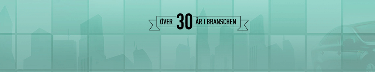 Magnus Bil - Bilförsäljning, Bildelar och reservdelar, Däckservice, Försäljning av bilinredningar, Försäljning av veteranbilar, Djurtransporter, Försäljning av elfordon och mopedbilar, Bilförsäljning, Bilförsäljning, Försäljning av begagnade bilar, Bildelar och reservdelar, Försäljning av husvagnar, husbilar och släp, Däckförsäljning
