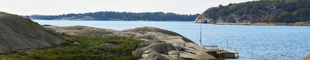 Next-Home Fastighetsbyrå - Fastighetsmäklare