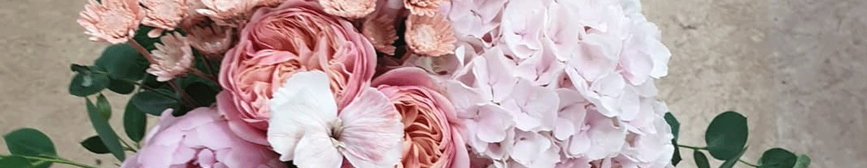 NorrBlomster