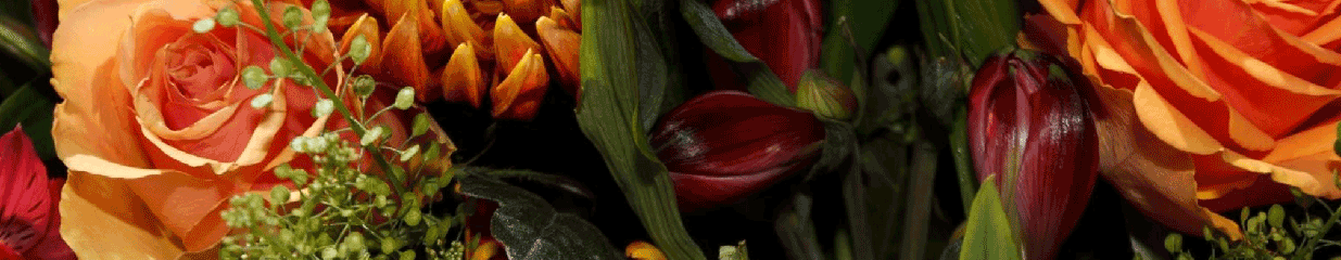 Östersunds Blomster AB - Blomsterhandel