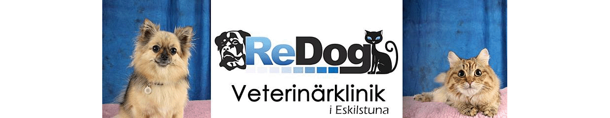 ReDog Veterinärklinik - Hundvård, Kattvård, Veterinärer