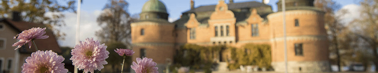 Rockelstad Slott - Konferensanläggningar & Kursgårdar, Konferenser & Mässor