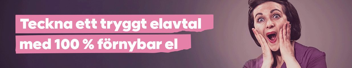 Skellefteå Kraft - Generering av el, Energi- och miljöteknik