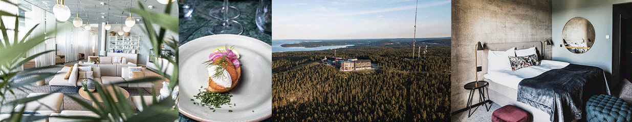 Hotell Södra Berget - Hotell & Pensionat, Konferenser & Mässor, SPA-anläggningar, Konferensanläggningar & Kursgårdar, Konferens- & Mässarrangörer