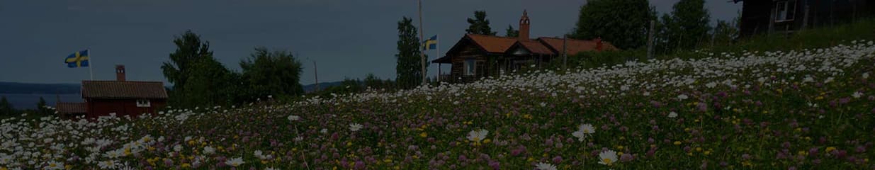 Specialrengöringar i Dalarna - Städning av fastigheter, Sanering