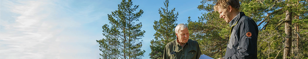 Stora Enso Skog AB - Skogsbruk & Skogsindustrier