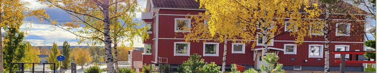 Trumbäcken Piteå AB - Bostadsföretag