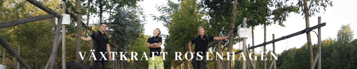 Växtkraft Rosenhagen - Trädgårdsmästare & Trädgårdsskötsel, Byggvaror & Järnaffärer, Caféer, Handelsträdgårdar