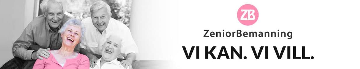 Zeniorbemanning - Rekrytering och Personaluthyrning, Städning av fastigheter, Snickare, Målare, Fönsterputsning, Elektriker