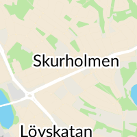 Lokala Flyttfirman, Luleå