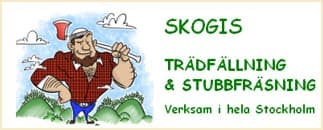SKOGIS Trädfällning & Stubbfräsning / Stockholms Arborist