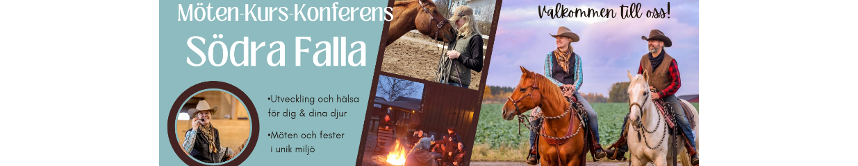 EmJoy Horses - Personlig utveckling, Frisk- och hälsovård, Hälsorådgivning, Fest- och samlingslokaler, Konferensanläggningar, Coachning och mentorskap, Uppfödning av hästar, Hästskötsel och hästsport, Sport- och fritidsutbildningar