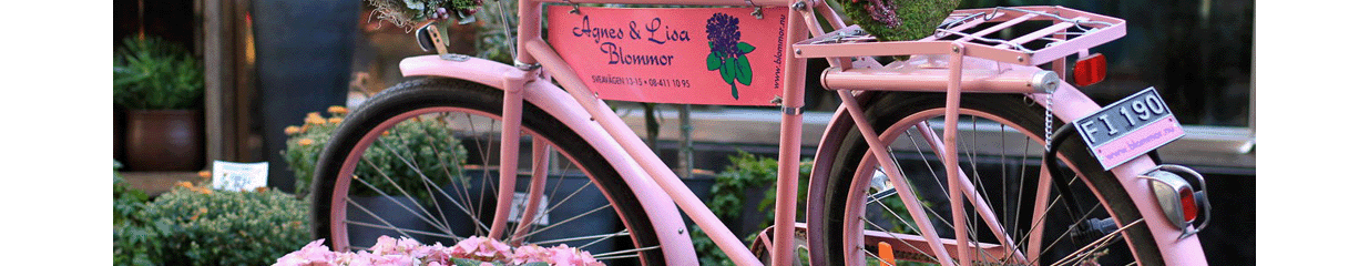 Agnes & Lisa Blommor - Blomsterhandel