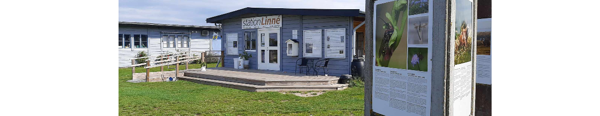 STF Station Linné, Porten till Alvaret - Vandrarhem, Övriga butiker med brett sortiment, Caféer, Äventyr och naturupplevelser, Barnaktiviteter, Forskning