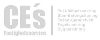 CE's Fastighets Service
