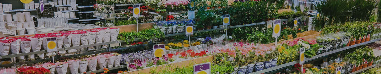 EKO - Varuhus, Blomsterhandel, Försäljning av hemtextil