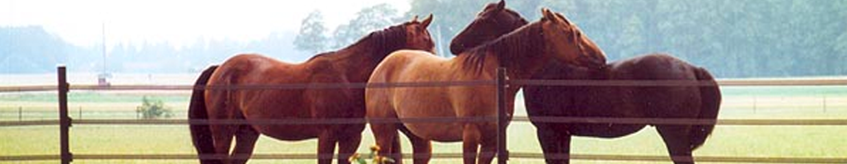 Horseguard Franskaelbandet AB - Övriga bygginstallationer, Tillverkare av övriga gummivaror
