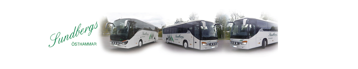 Sundbergs Busstrafik AB - Bussresearrangörer och bussuthyrning, Resebyråer och charterresor, Bussbolag