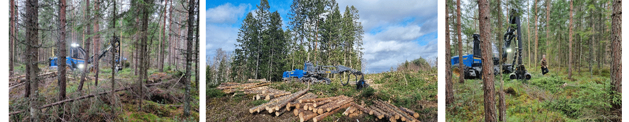 Struppkärrs Skog AB - Skogsskötsel, Entreprenadmaskinsarbeten, Skogsförvaltning, Skogstjänster, Skogsindustrier, Provisionshandel virke och byggmaterial