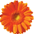 Interflora